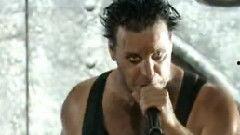 尼莫视频,海洋奇缘之旅