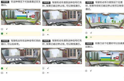 考科目一视频,轻松掌握考试要点