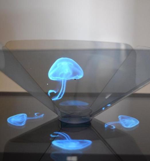 3d全息投影视频,3D全息投影视频的奇幻之旅