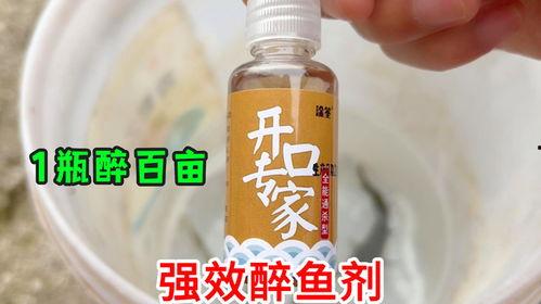醉鱼灵晕鱼药视频,揭秘高效钓鱼新利器