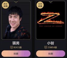 小智解说视频,深度解析游戏策略与技巧