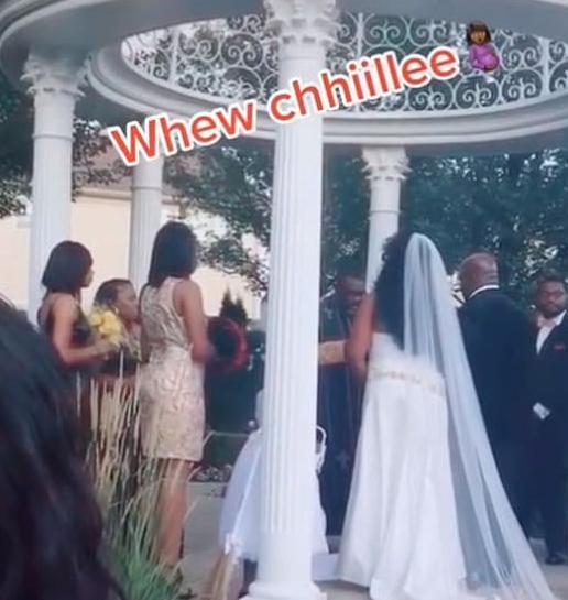 国外婚礼视频,一场跨越时空的浪漫邂逅