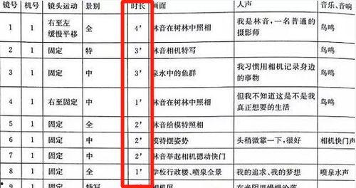 视频文案脚本,揭秘视频文案脚本背后的创作奥秘