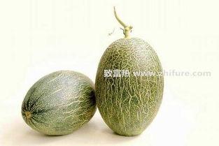 嘉兴市场今日哈密瓜行情,品质优价稳升