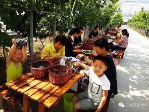 吃瓜爆料山东高密,吃瓜群众揭秘当地热点事件