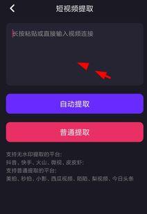 视频如何去水印,轻松制作无痕视频内容