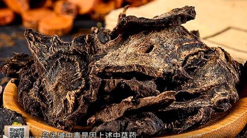 中药视频,视频揭秘传统草药的神奇疗效