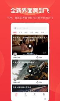 种子视频下载,种子视频轻松获取攻略