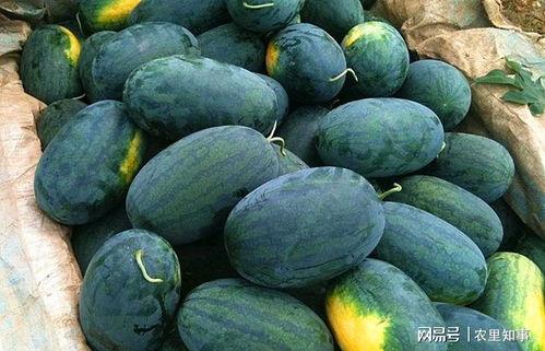 52cg吃瓜黑料,揭秘娱乐圈背后的真相