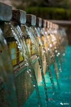 晚春视频,捕捉春日余晖的美好瞬间