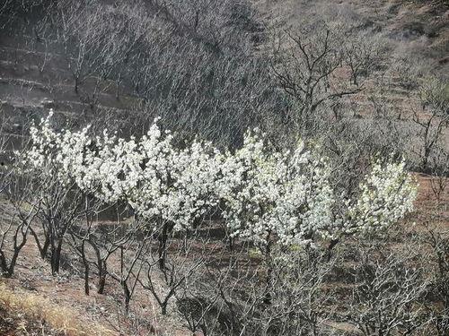 晚春视频,捕捉春日余晖的美好瞬间