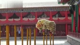 梅花桩视频,传统武术与现代视觉的完美融合