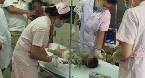 阴茎   视频,生理结构与功能解析