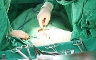 阴茎   视频,生理结构与功能解析