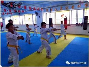 儿童跆拳道视频,儿童跆拳道视频精彩回顾