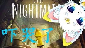 小兽视频,探秘动物世界的奇妙瞬间