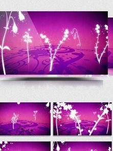 背景视频素材免费,视频素材中的历史瞬间