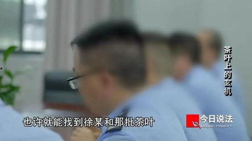 带你吃瓜拍照今日说法视频,带你揭秘“吃瓜拍照”背后的法律故事