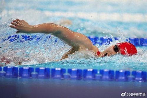 女子游泳视频,女子游泳视频展现水上风采