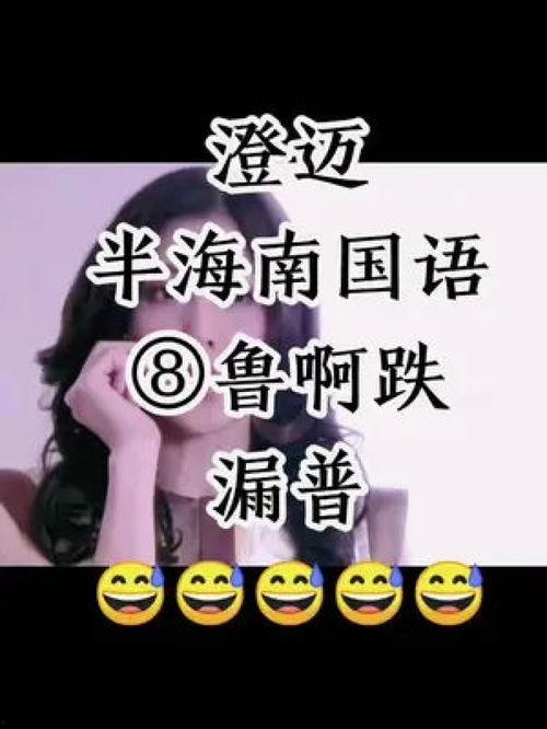 海南话视频,探寻海南方言魅力与文化传承