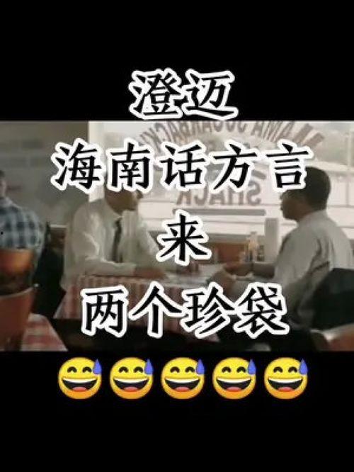 海南话视频,探寻海南方言魅力与文化传承