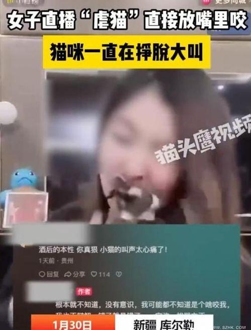 咬视频,揭秘短视频时代的魅力与挑战