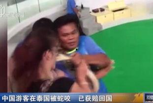 咬视频,揭秘短视频时代的魅力与挑战