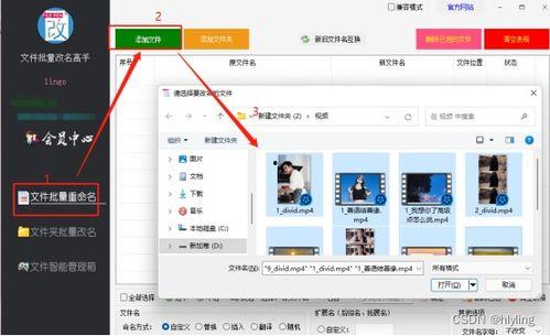 视频重命名,[视频标题]深度解析