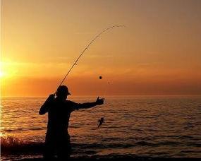 中国钓鱼视频,传统技艺与现代魅力的完美融合