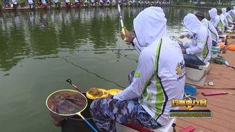 中国钓鱼视频,传统技艺与现代魅力的完美融合