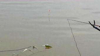 中国钓鱼视频,传统技艺与现代魅力的完美融合