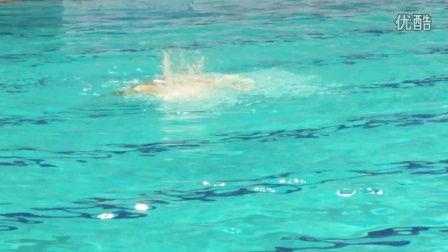 游水视频,揭秘水上运动魅力瞬间