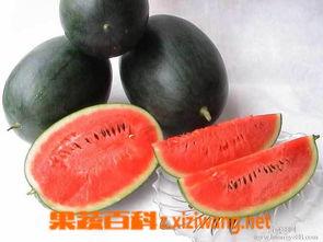 黑瓜网红吃料反差,吃料反差背后的真实人生