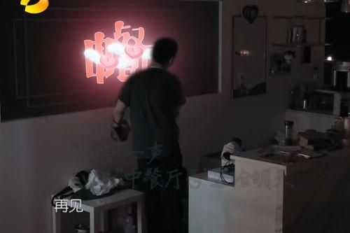 舍吻视频,一场跨越时空的浪漫邂逅