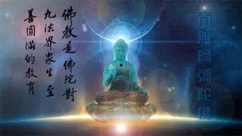 学佛视频,心灵修行之旅