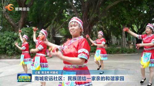 民族团结视频,共筑和谐家园的生动篇章