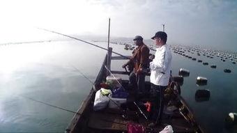 海钓视频,捕捉海洋之美