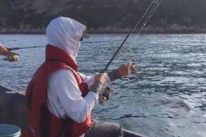 海钓视频,捕捉海洋之美