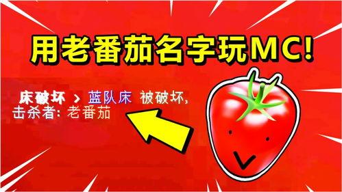 老番茄视频,揭秘日常生活小智慧，轻松提升生活品质