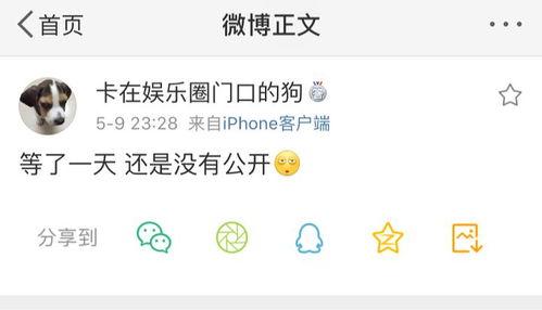 吃瓜为什么等于爆料,揭秘“吃瓜等于爆料”的奥秘