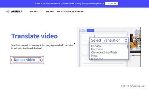 翻译视频的软件,智能翻译软件助你轻松跨越语言障碍
