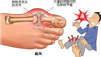 脚趾视频,揭秘人类足部奥秘之旅