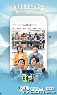 米谷视频,探索美食与生活的独特视角