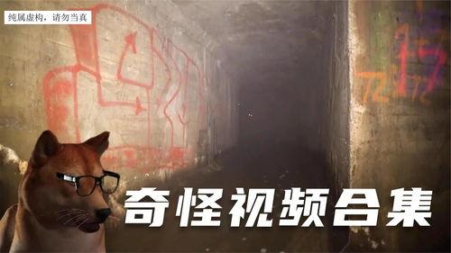 怪视频,探寻网络奇观背后的真相