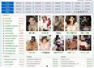 黄色网站视频,内容解析与警示