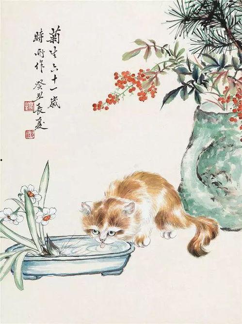 画猫视频,如何轻松绘制萌态可掬的猫咪形象