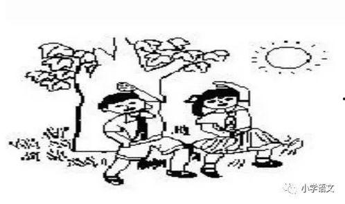 看图写话视频,捕捉生活美好瞬间，感受视觉盛宴