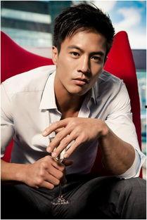 安志杰视频,动作巨星背后的故事与挑战