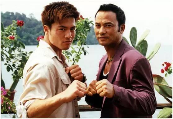 安志杰视频,动作巨星背后的故事与挑战