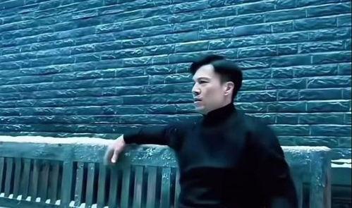 安志杰视频,动作巨星背后的故事与挑战